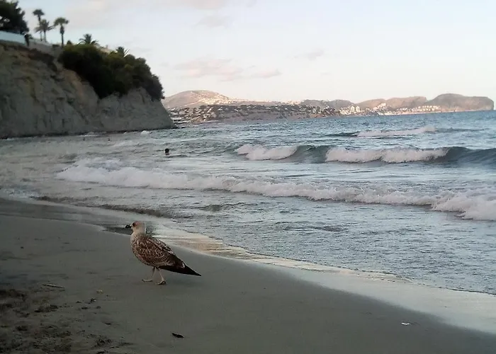 Santa Marta Atico * Calpe